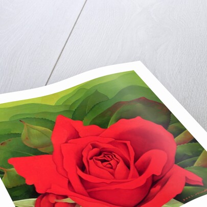 The Rose, 2003 by Myung-Bo Sim