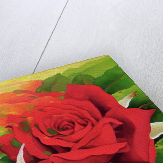 The Roses in the Festival of Light, 2003 by Myung-Bo Sim