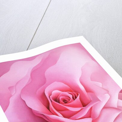 The Rose, 2001 by Myung-Bo Sim