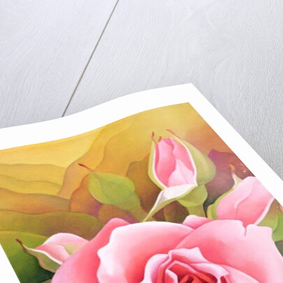 The Rose, 2002 by Myung-Bo Sim