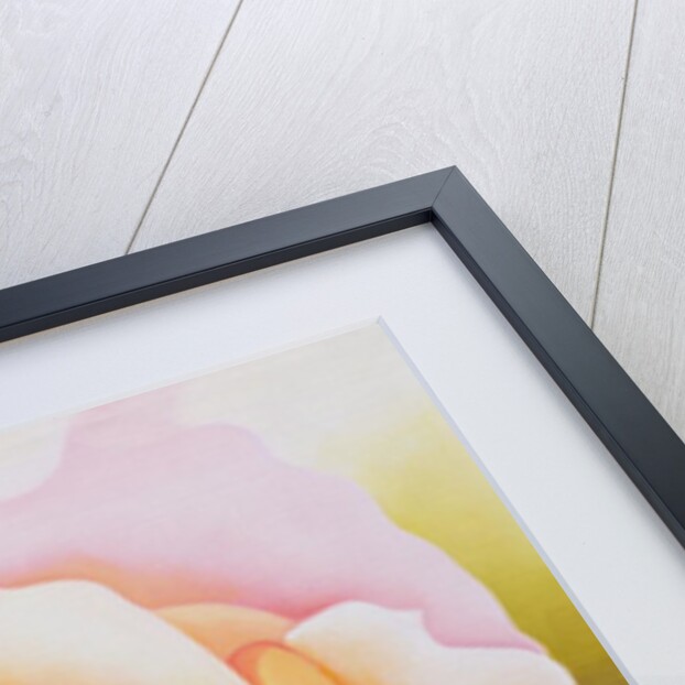 The Rose, 2002 by Myung-Bo Sim