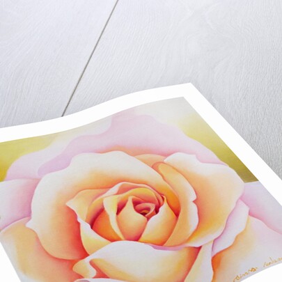 The Rose, 2002 by Myung-Bo Sim