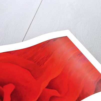 The Rose, in the Festival of Light, 1995 by Myung-Bo Sim