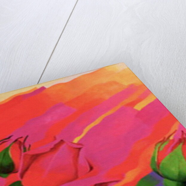 The Rose in the Festival of Light, 1995 by Myung-Bo Sim