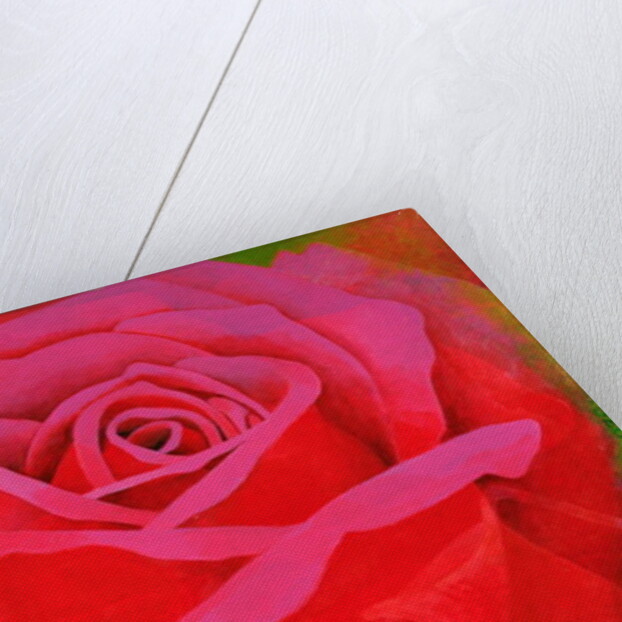 The Rose, 1995 by Myung-Bo Sim