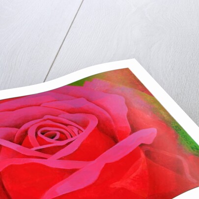 The Rose, 1995 by Myung-Bo Sim