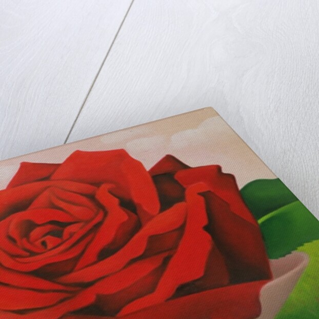 The Rose, 2004 by Myung-Bo Sim