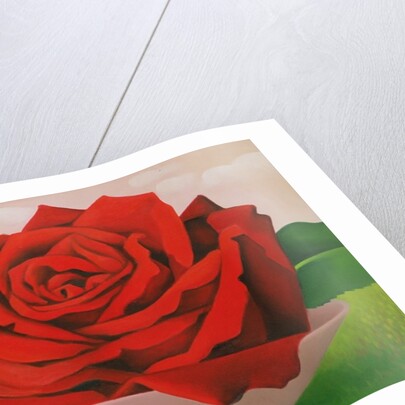 The Rose, 2004 by Myung-Bo Sim