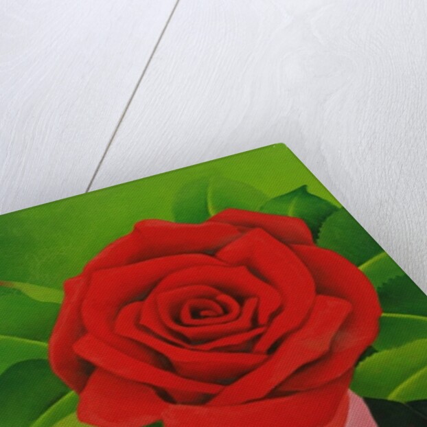 The Rose Man, 2004 by Myung-Bo Sim