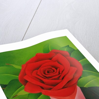 The Rose Man, 2004 by Myung-Bo Sim