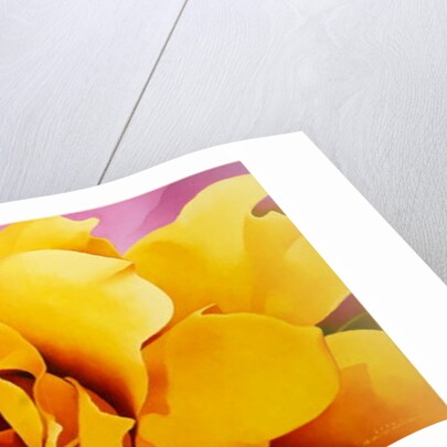 The Golden Rose, 2004 by Myung-Bo Sim