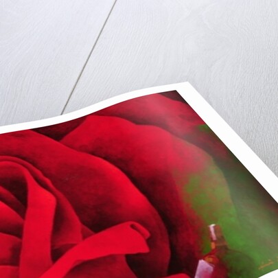 The Rose, 1997 by Myung-Bo Sim