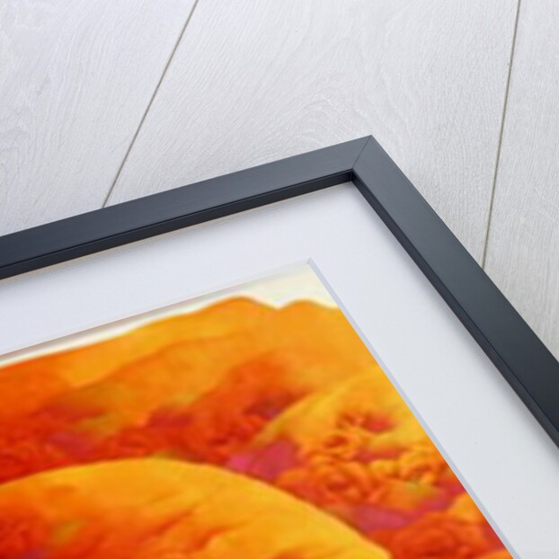 A Great Rose, c.2002-03 by Myung-Bo Sim