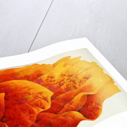 A Great Rose, c.2002-03 by Myung-Bo Sim