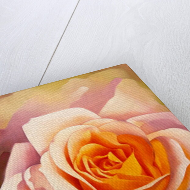 The Rose, 1999 by Myung-Bo Sim