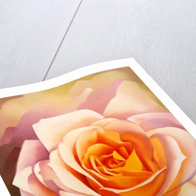 The Rose, 1999 by Myung-Bo Sim