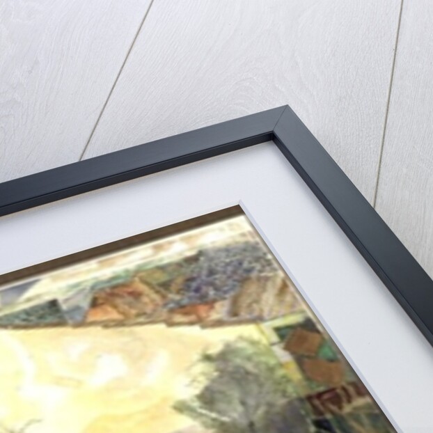 The White Turkey by Michael Chase