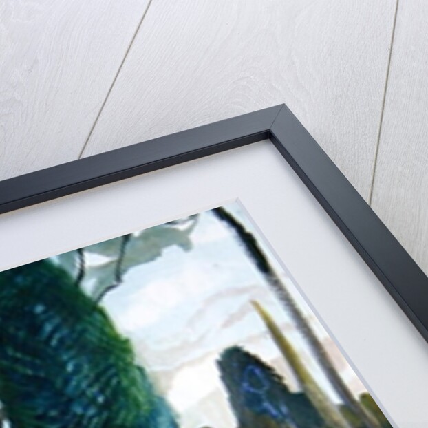 The Green Lady by Michael Chase