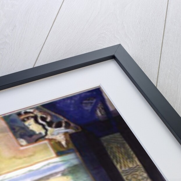 Agamemnon's Country - A Mani Viewpoint from the Greek Experience Series by Michael Chase