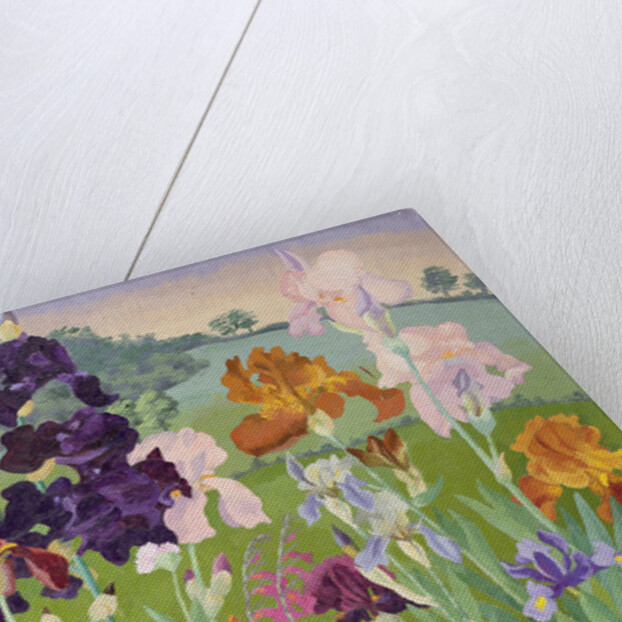 Several Inventions by Cedric Morris