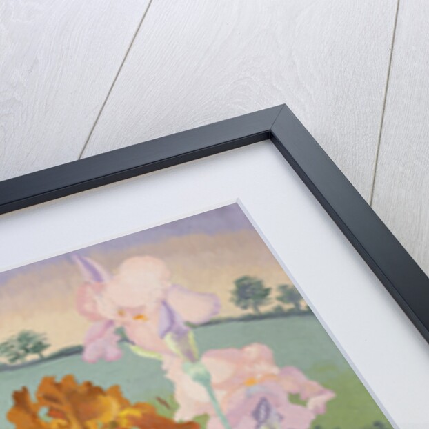 Several Inventions by Cedric Morris