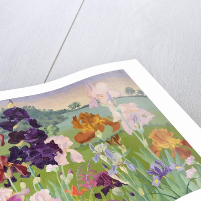 Several Inventions by Cedric Morris