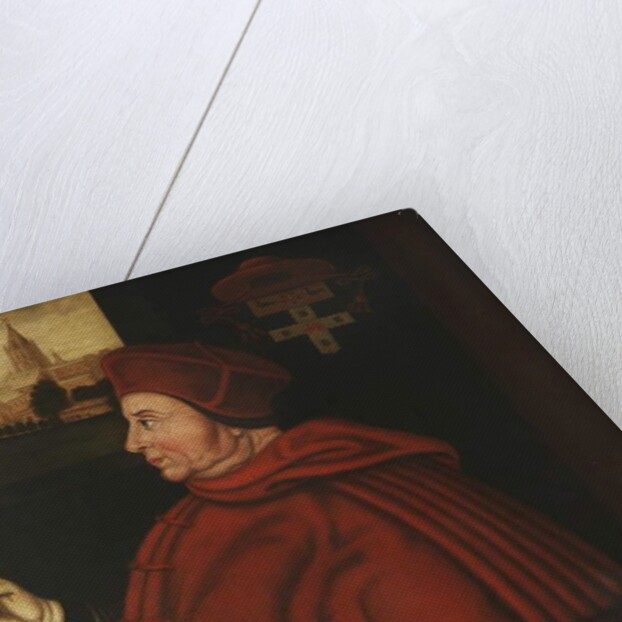 Cardinal Thomas Wolsey by School English