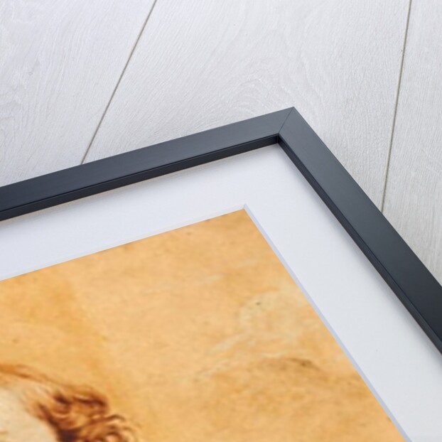 Adam de Coster, 1827 by T.S. White