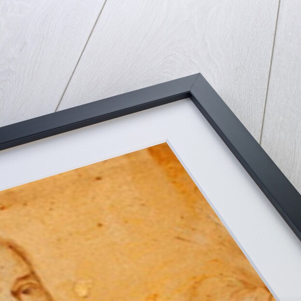 Ambrogio Spinola, 1827 by T.S. White