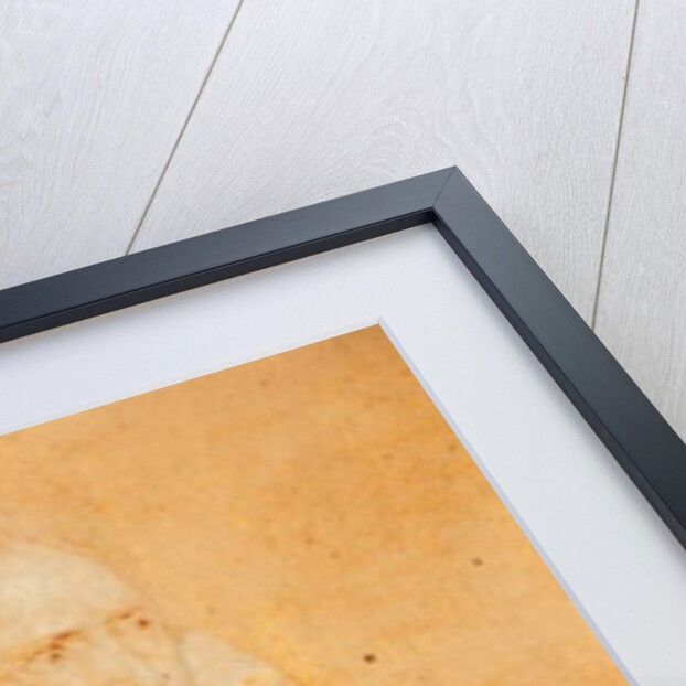 Cornelis van der Geest, 1827 by T.S. White