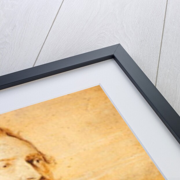 Jan Casper Gevaerts, 1827 by T.S. White