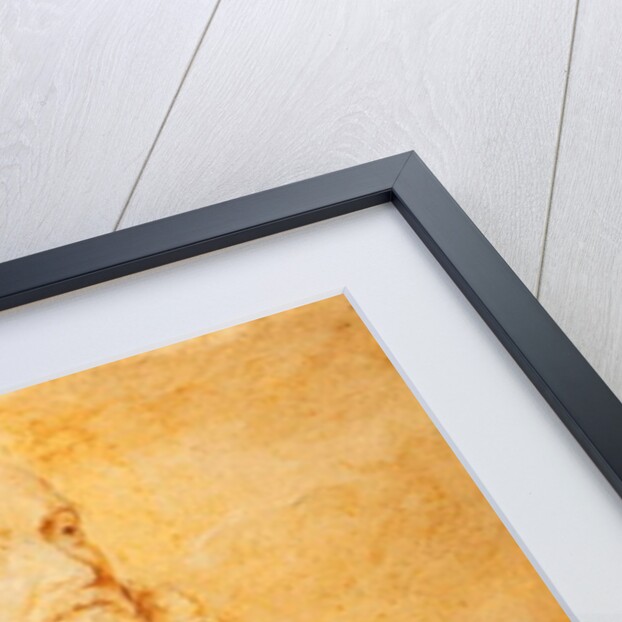 Jan van Ravesteyn, 1827 by T.S. White