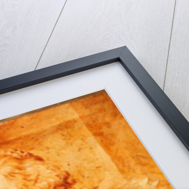 Amilia van Solms, 1827 by T.S. White