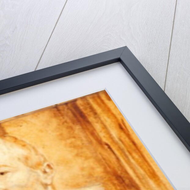 Marten Pepyn, 1827 by T.S. White