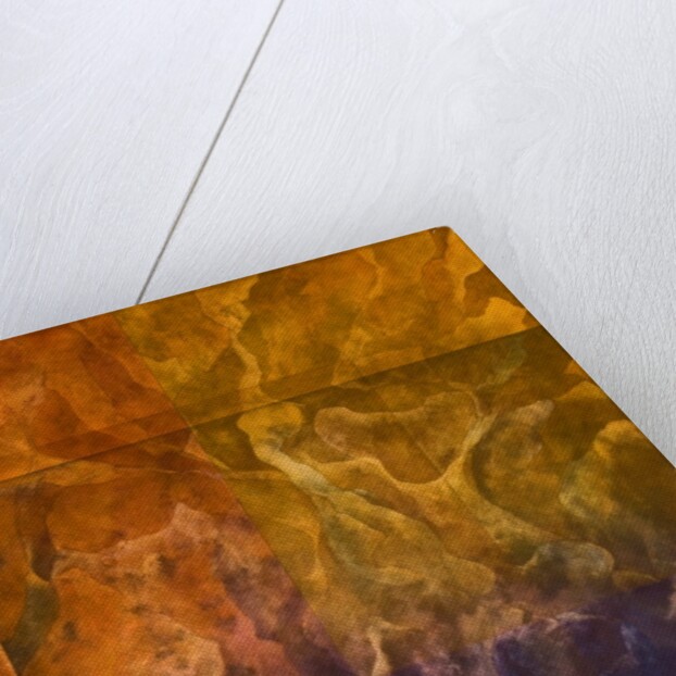 Origins - First Life, 2005 by Mathew Clum