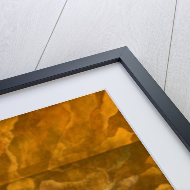 Origins - First Life, 2005 by Mathew Clum