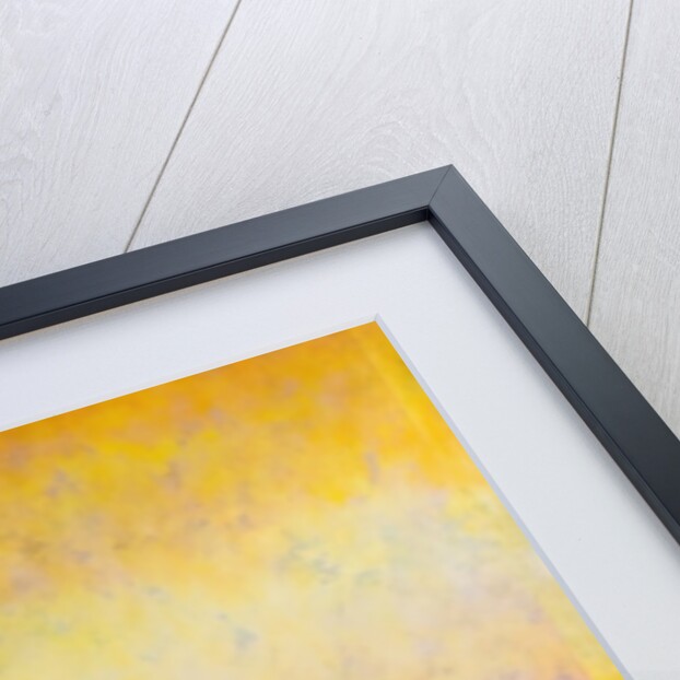 Separation Anxiety, 2006 by Mathew Clum