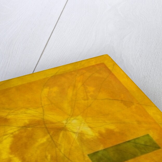 Yellow Ocean, 2004 by Mathew Clum