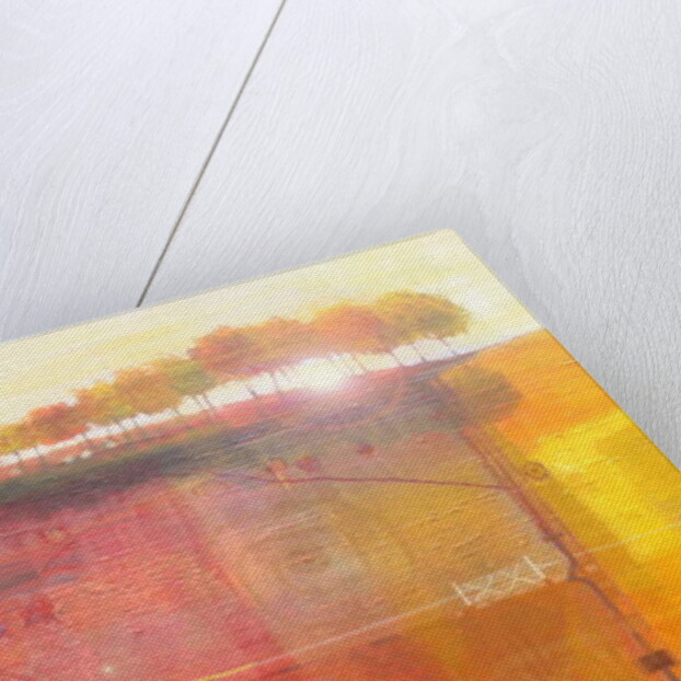 Sunrise, 2011 by Martin Decent