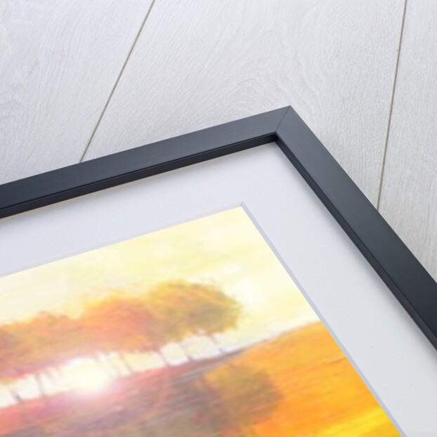 Sunrise, 2011 by Martin Decent