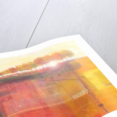 Sunrise, 2011 by Martin Decent