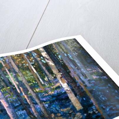 Bluebell Wood, 2009 by Martin Decent