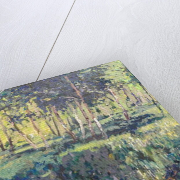 Woodland, 2014 by Martin Decent