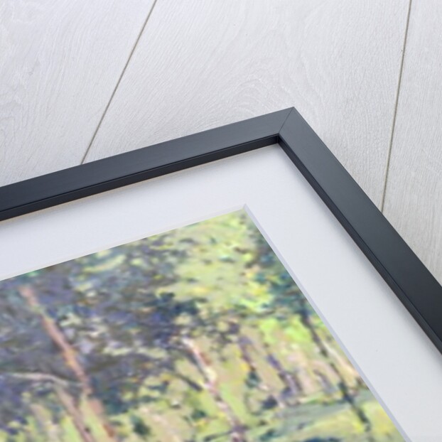 Woodland, 2014 by Martin Decent