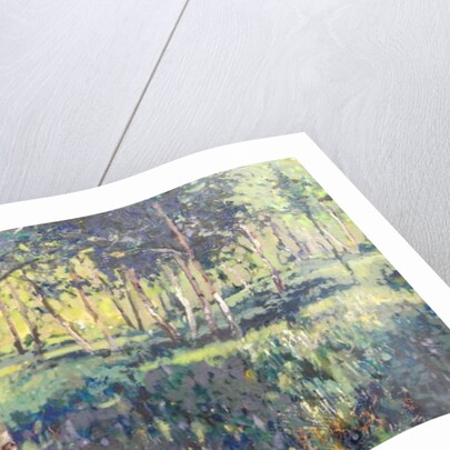 Woodland, 2014 by Martin Decent