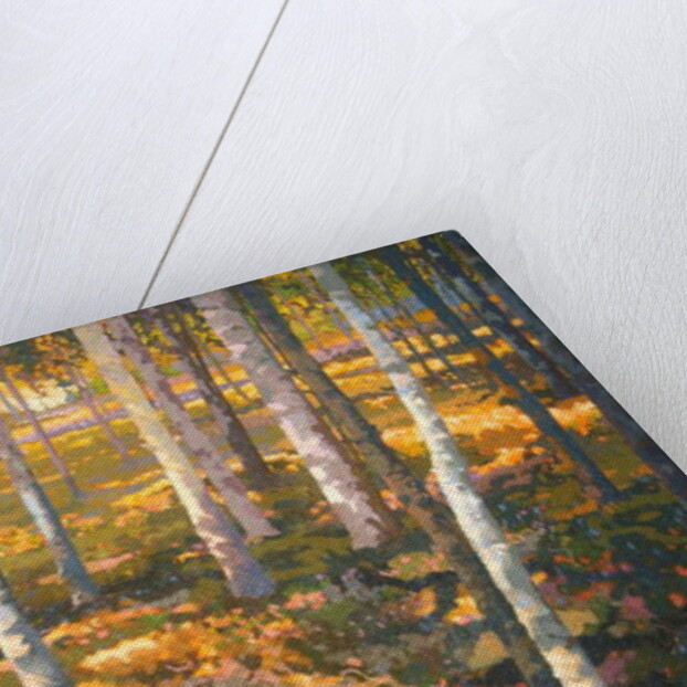 Through the Trees, 2014 by Martin Decent