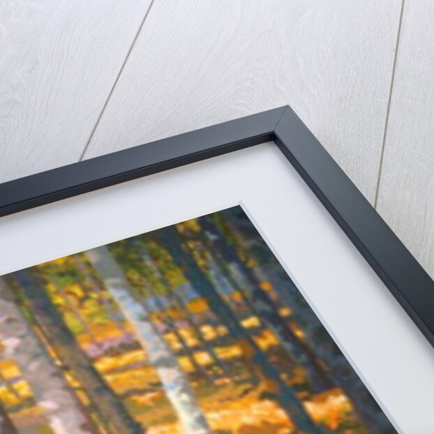 Through the Trees, 2014 by Martin Decent