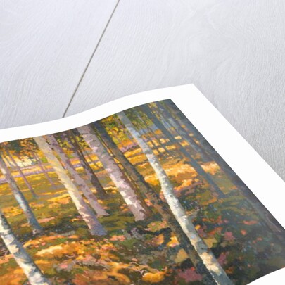 Through the Trees, 2014 by Martin Decent