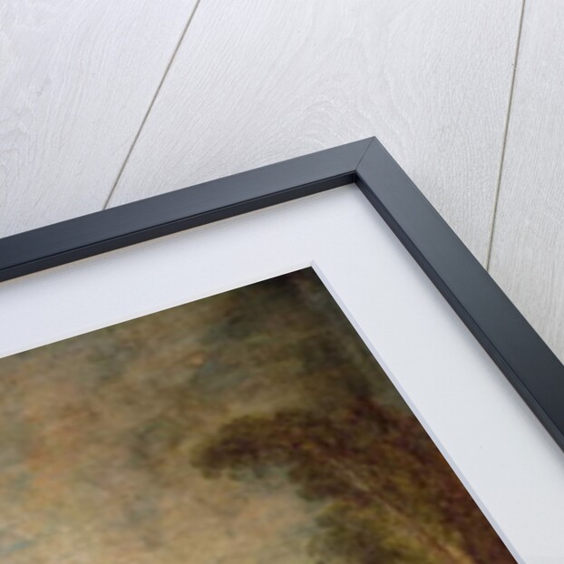 An Embarrassing Proposal, 1715-16 by Jean Antoine Watteau