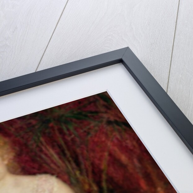 Portrait of Jeanne Samary 1878 by Pierre Auguste Renoir